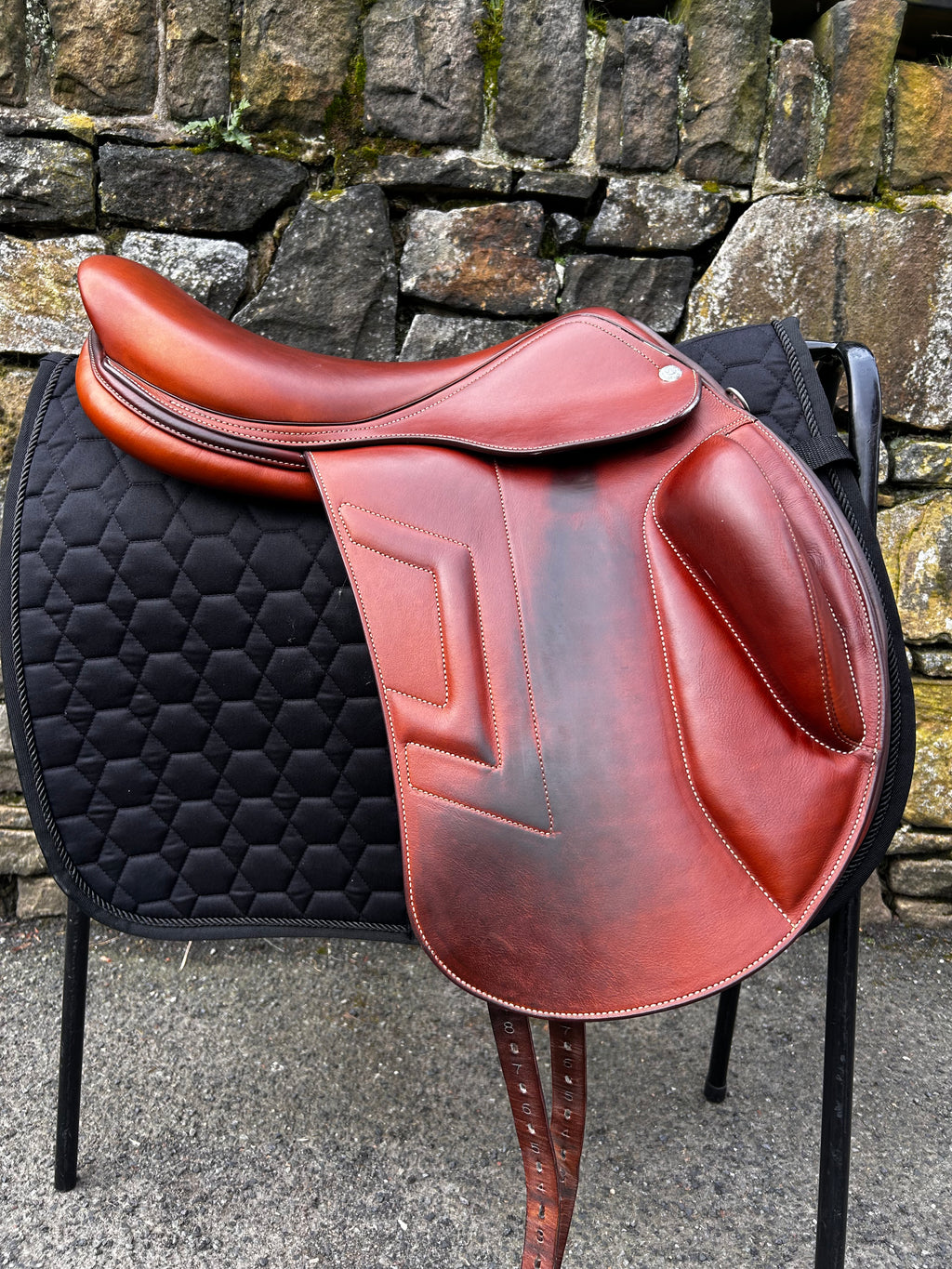 Renaissance TK Dressage