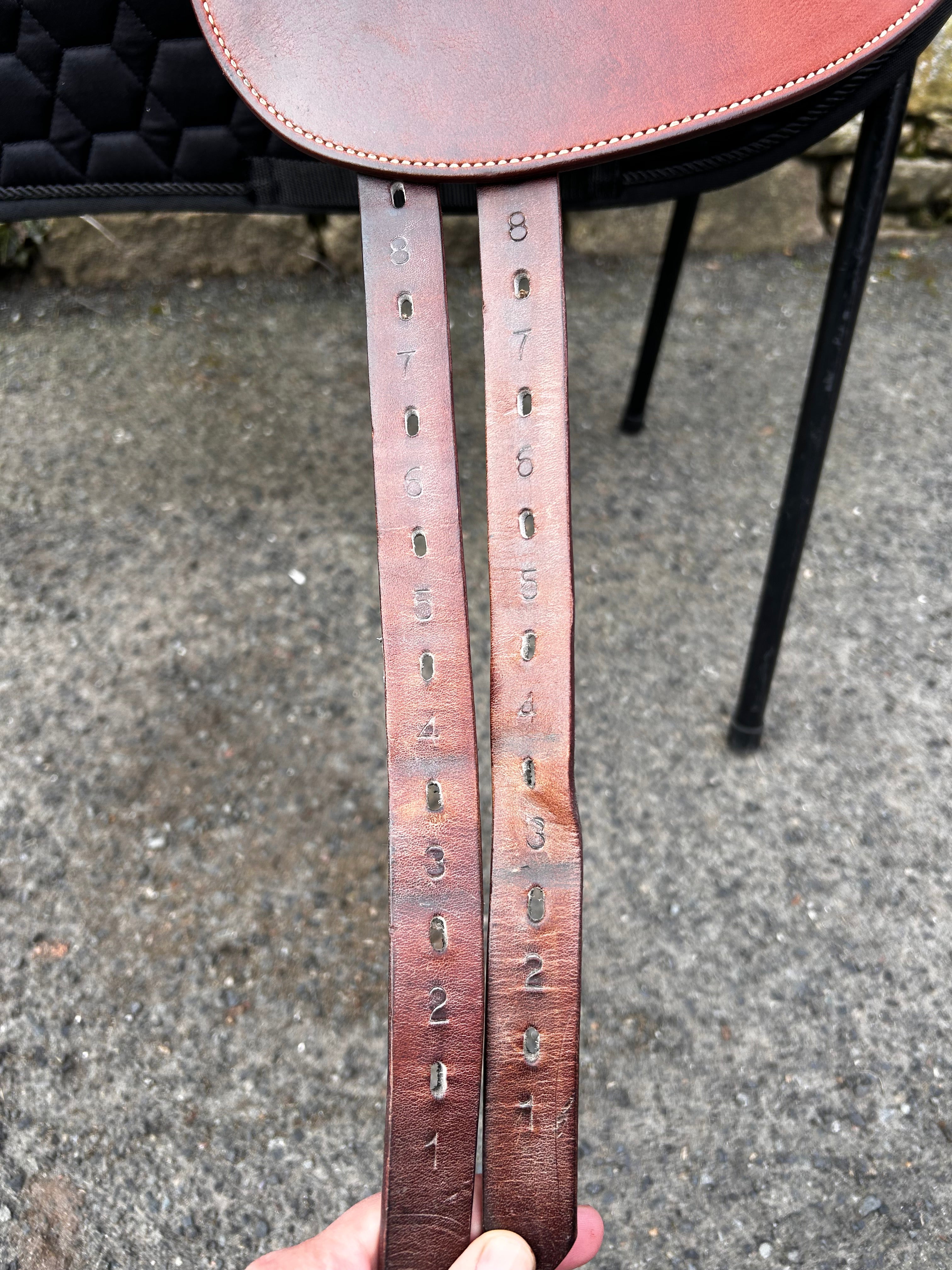 Renaissance TK Dressage