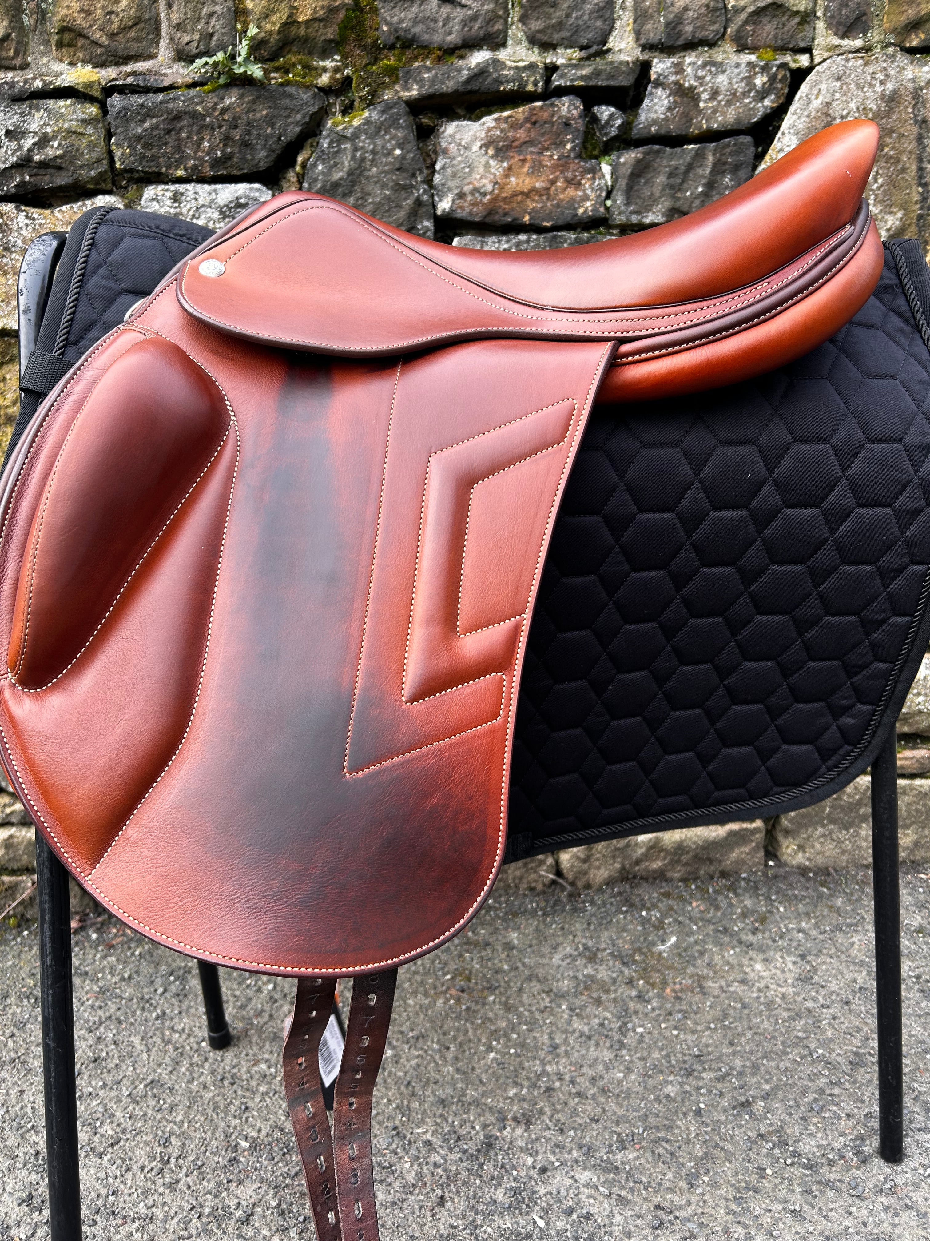 Renaissance TK Dressage