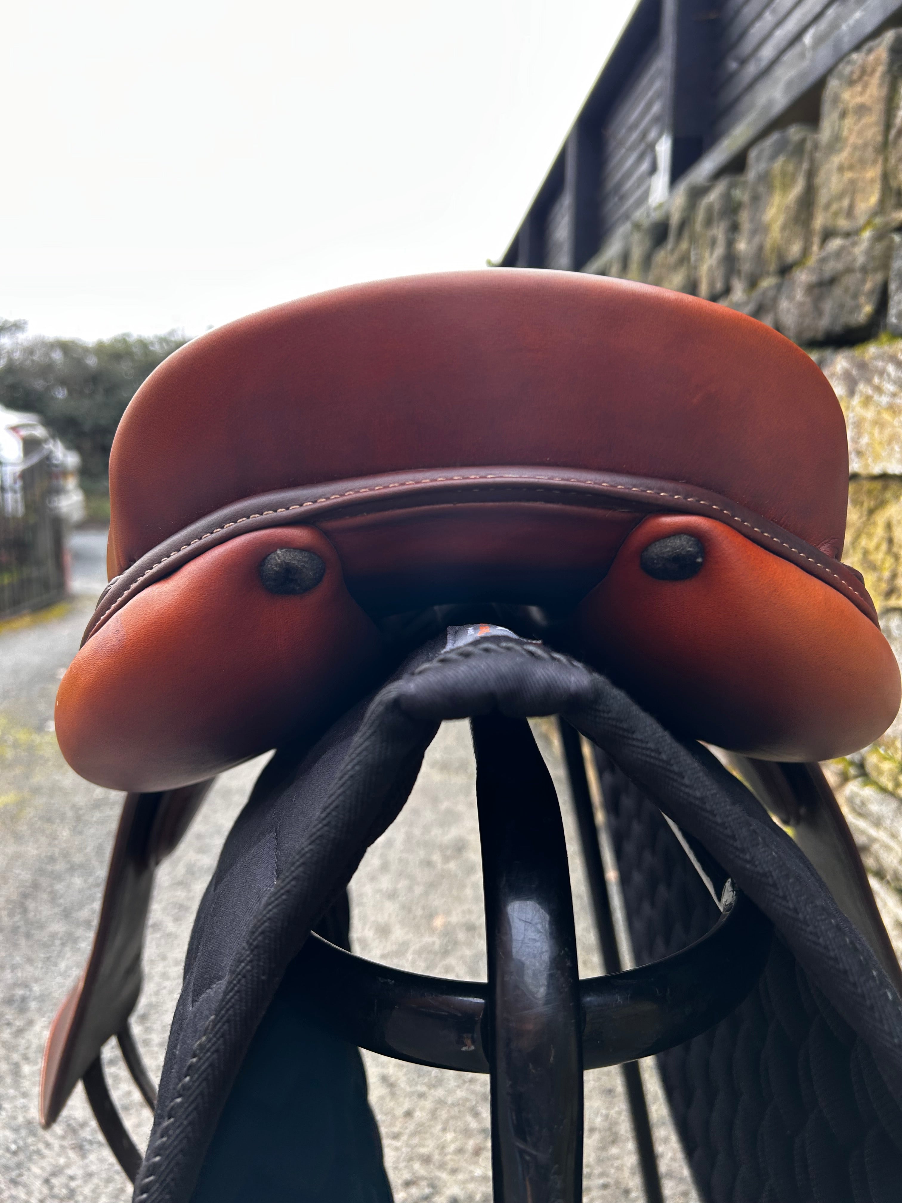 Renaissance TK Dressage