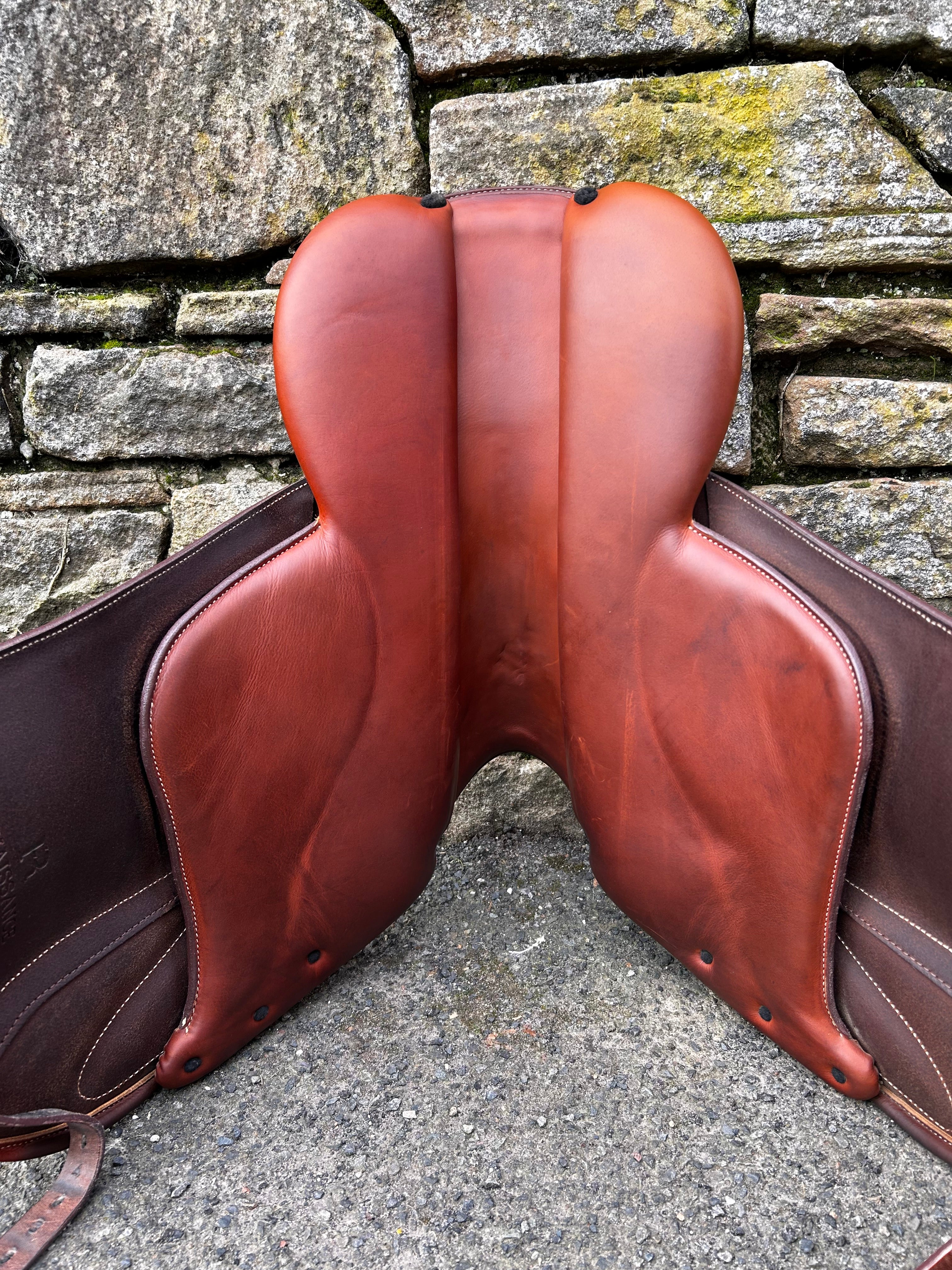 Renaissance TK Dressage