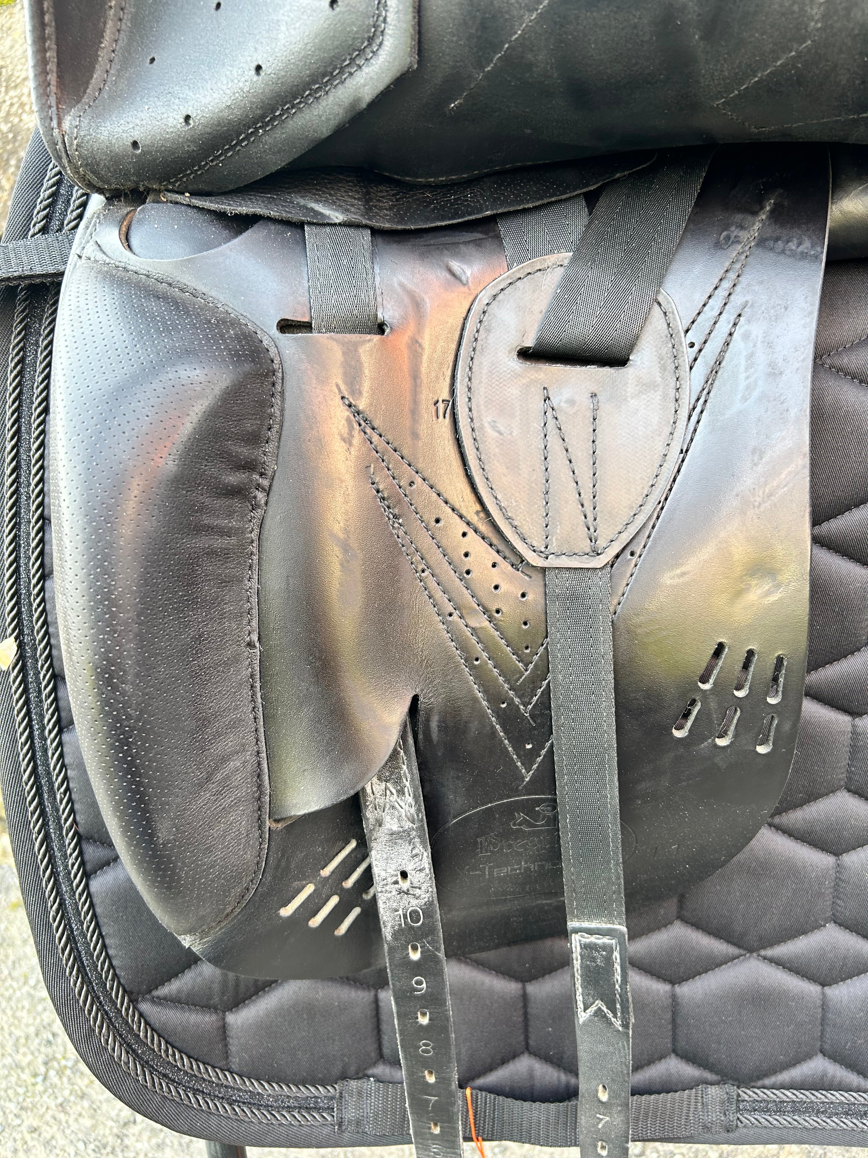 Prestige X Breath Dressage